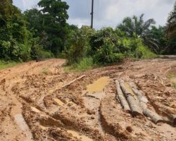 Warga Desa Talang Buluh Keluhkan Jalan Desa Rusak Bertahun Tahun Tak Tersentuh
