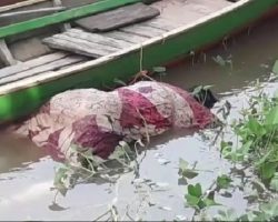 Warga Lumpatan 2 Geger Ada Mayat Wanita Terapung Dipinggir Sungai Musi