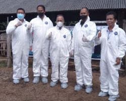 Babinsa Koramil 04-03/Sekayu Monitoring Peninjauan Launching Perdana Vaksin Penyakit Mulut Kuku (PMK)