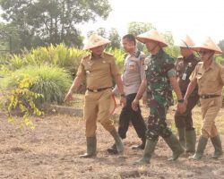 Babinsa Koramil 401-03/Sekayu Monitoring Louncing Program Pemanfaatan Lahan Kosong