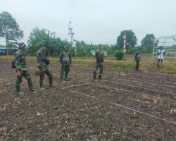 Babinsa Koramil 401-03/Sekayu Monitoring Penanaman Jagung Program Pemanfaatan Lahan Kosong