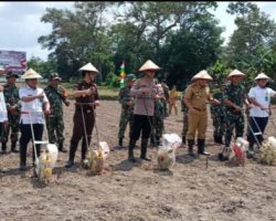 Babinsa Koramil 401-03/Sekayu Monitoring Kegiatan Dandim Bersama FKPD Kabupaten Muba