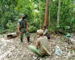 Babinsa Koramil 401-03/Sekayu Komsos Dan Sosialisasi Karhutlah Di Desa Lais