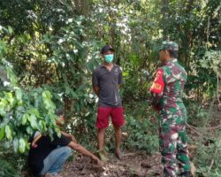 Babinsa Koramil 401-03/Sekayu Komsos Dan Sosialisasi Karhutlah Di Desa Purwosari