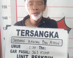 Bambang Warga Telanai Pura Babak Belur Usai Kepergok Curi Motor Warga Bayung Lencir