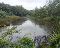 Pipa Pertamina di Desa Talang Simpang Jirak Bocor Genangi Kolam Warga