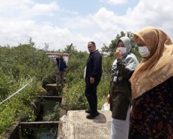 Ombudsman Republik Indonesia Perwakilan Sumsel Verifikasi Lokasi Limbah Domestik Di Perumahan Palm Hijau Residence Sekayu