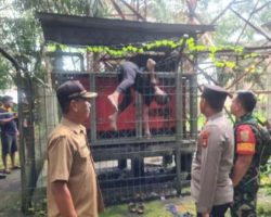 Pencuri Tewas Tersangkut Pagar Tower XL Desa Tanjung Raya,Diduga Tersengat Arus Listrik.