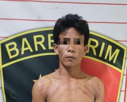 Pencuri Sawit Bunuh 2 Penjaga Kebun Di Muba