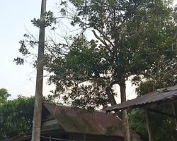 Warga Dusun 4 Sungai Putih Bandar Jaya Berharap Bisa Menikmati Aliran Listrik