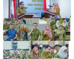 Pemkab Solok Gelar Konsultasi Publik I Penyusunan Kajian Lingkungan Hidup Strategis RPJPD 2026-2045