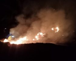 Kebakaran Lahan Di Desa Bangkit Jaya