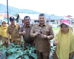 Tekan Inflasi, Walikota Solok Panen Terong dan Cabai Rawit di Kebun Forkopimda