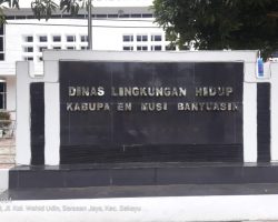 Proyek Pengadaan Tanaman Hias dan Pelindung Dinas Lingkungan Hidup Muba Tahun 2023,di Duga Wanprestasi Kontrak