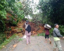 Pemkab Solok Turunkan Alat Berat TRC dan BOBD Bersihkan Musibah Longsor di Nagari Lolo