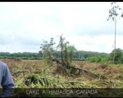 Diduga Melakukan Perusakan Kawasan Hutan, Pengurus KTH. Wahana Mandiri Dilaporkan Masyarakat Desa Kepayang ke UPTD KPH Wilayah II Lalan Mendis