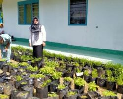 SMK Negeri 1 Lahat Mendukung Program Pemerintah Tentang Ketahanan Pangan.
