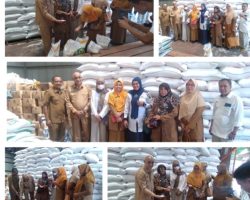 Tim Pengendalian Inflasi Daerah Kabupaten Solok Laksanakan Pemeriksaan Kualitas dan Kuantitas Beras di Gudang Perum Bulog