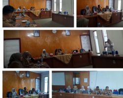 Pemkab Solok Gelar Rakor Pencegahan Stuntting Serentak di Pemkab Solok