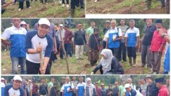 Tunjukkan Komitmen, PT CNMS Tanam Jagung Perdana Bersama Petani di Payo Solok