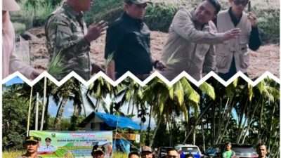 Basawah Pokok Murah”, Inovasi Bupati Solok Firman Pandu-Candra Untuk Petani Solok Lebih Sejahtera dan Mandiri