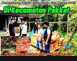 Satres Humbahas Gerak Cepat Tangani Dugaan Kasus Ilegal Loging