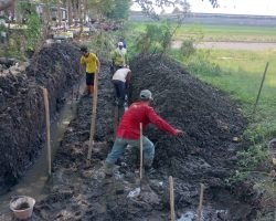 Dinas PUPR Kediri Kota Rehabilitasi Saluran Irigasi di Kelurahan Dandangan (Timur Rusunawa)