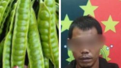 Curi Petai Berujung Maut, Nyawa Melayang Diembak Pemilik Kebun    