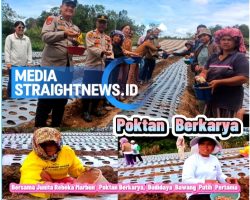 Wabup Junita Rebeka Marbun Turun Langsung Ke Lokasi Penanaman Bawang Putih