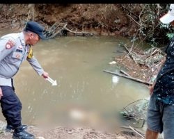Penemuan Mayat Terapung di Desa Sindang Marga Muba
