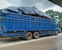 Sopir Mobil Truk Tronton Meninggal Dunia Depan Kantor Lurah Karang Jaya, Kecamatan Gandus