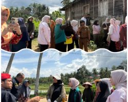 Ketua TP-PKK Kota Sawahlunto Serahkan Bantuan untuk Korban Banjir di Kab Solok