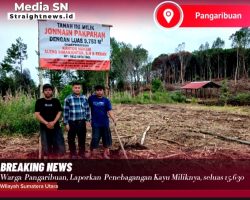 Dugaan Pencurian Kayu di Pangaribuan : Polres Tapanuli Utara Respon Cepat Laporan Polisi Jonain Pakpahan