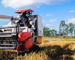 Keberadaan Combine Harvester Yanmar Dipertanyakan,Petani Desa Upang Induk Mengaku Dirugikan 