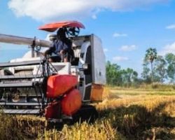 Program Serasi Desa Upang Marga Diduga Sarat Penyelewengan Data, Warga Pertanyakan Luas Lahan.