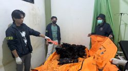 Dua Dump Truck Batu Bara Tabrakan di Jalan Hauling Muratara, Satu Sopir Tewas Terbakar