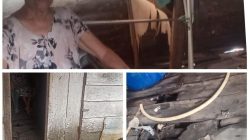 Pilu! Rumah Janda Asmina Roboh 3 Tahun Tak Terurus, Harapan Menggamit Pada Negara
