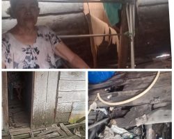 Pilu! Rumah Janda Asmina Roboh 3 Tahun Tak Terurus, Harapan Menggamit Pada Negara