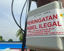 PLN Icon Plus Tertibkan Jaringan Internet Ilegal di Tiang PLN Kawasan Gandus