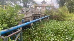 ALIRAN SUNGAI DI SITUS TAMAN PURBAKALA PENUH ECENG GONDOK, WARGA KESULITAN AKTIVITAS.