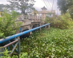 ALIRAN SUNGAI DI SITUS TAMAN PURBAKALA PENUH ECENG GONDOK, WARGA KESULITAN AKTIVITAS.