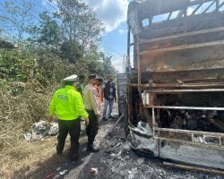 Bus PO Palala Hangus Terbakar di Desa Simpang Bayat.