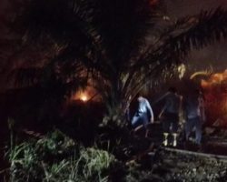 KEBAKARAN LAHAN SAWIT DI LINGKUNGAN PT. PRAGA, KELURAHAN TALANG JAMBE