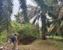 Tanam Sawit Hingga ke Bibir Sungai, PT Lonsum dan Pinago Utama Dilaporkan ke DPRD